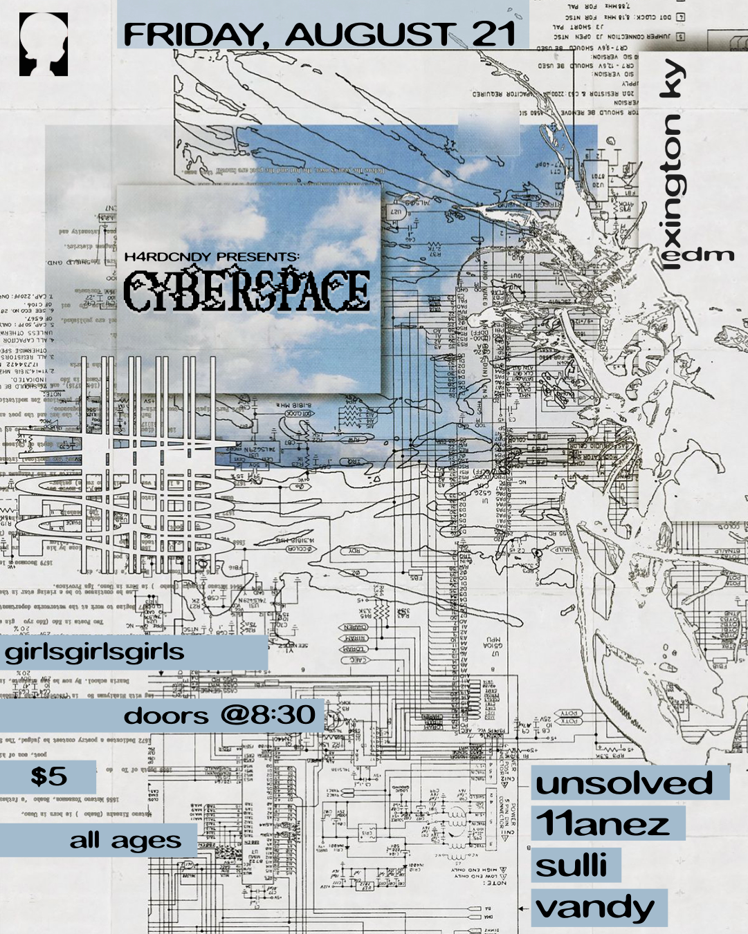 cyberspace flyer
